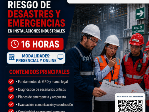 GESTION DEL RIESGO PROFESIONAL EN EL AREA INDUSTRIAL