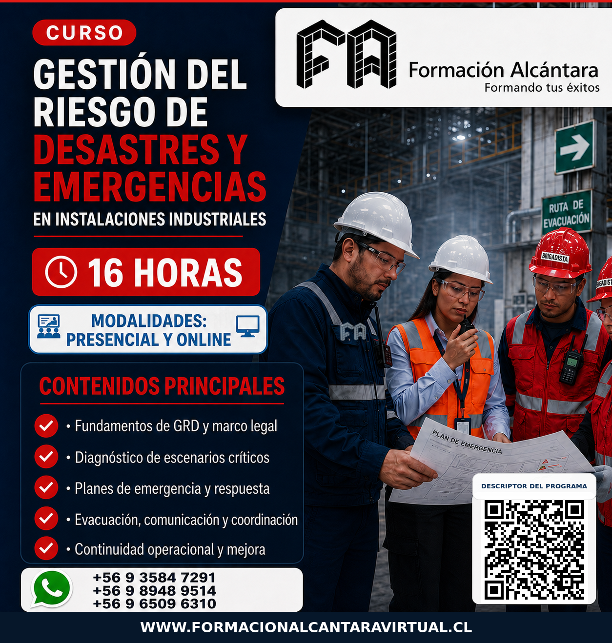 GESTION DEL RIESGO PROFESIONAL EN EL AREA INDUSTRIAL